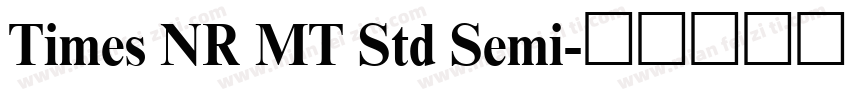 Times NR MT Std Semi字体转换